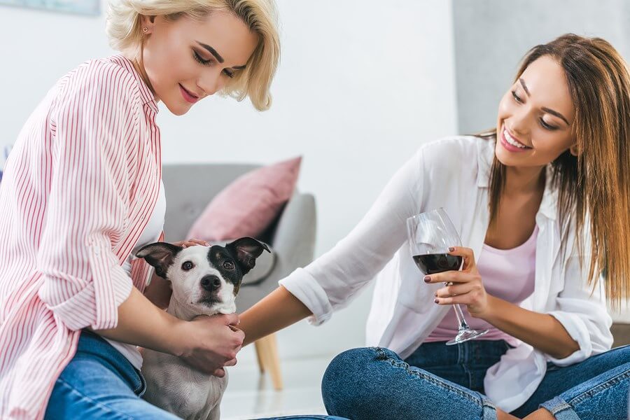 2 beautiful women enjoying a quiet afternoon with their dog and the best wines!