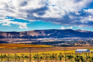 The Beautiful Rioja Wine Region!