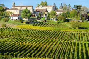 Bordeaux Wineries: One Day Road Trip