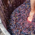 Wine Press: Selecting A Proper Wine Press