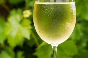 A beautiful, cold glass of white wine, epitomizing the wine temperature guide.