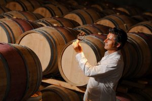 Wine Aroma Wheel: Understanding Wine